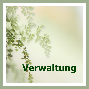 Verwaltung